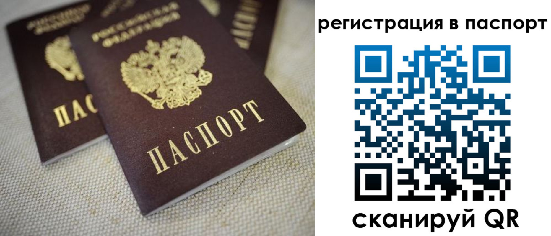 прописка гарантия в Ульяновской области